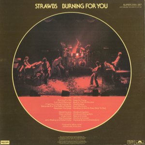 Burning For You back cover